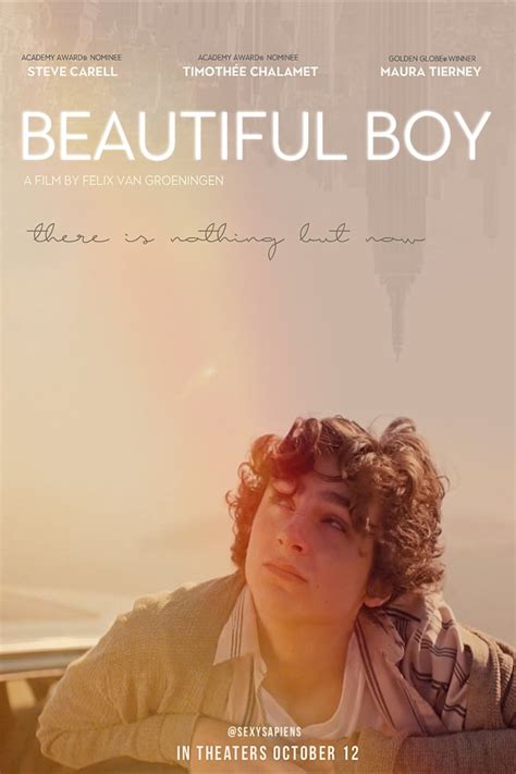 beautiful boy parents guide|how does beautiful boy end.